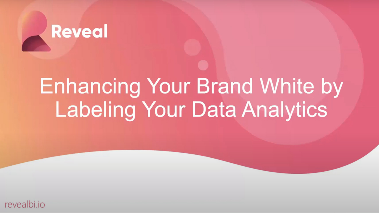 White Labeling Your Data Analytics