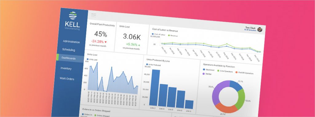 Erp The Most Popular Embedded Analytics Application Reveal Bi 