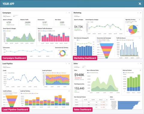 What Is An Analytical Application? | Reveal BI