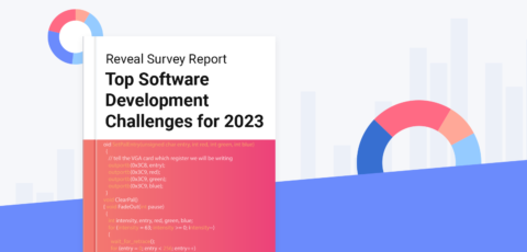 reveal survey report on software development biggest challenges